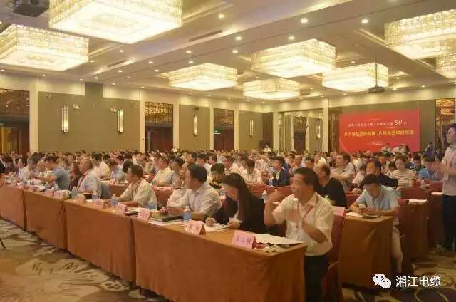 熱烈祝賀湘江電纜連續兩年入圍線纜行業競爭力100強