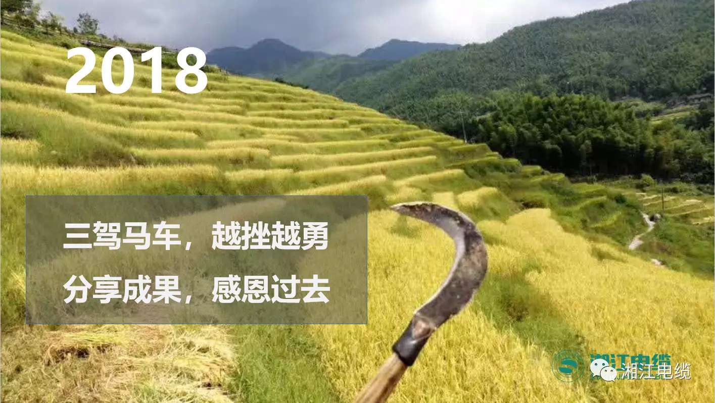 湘江電纜2019經銷商會議暨迎新年會盛大舉行