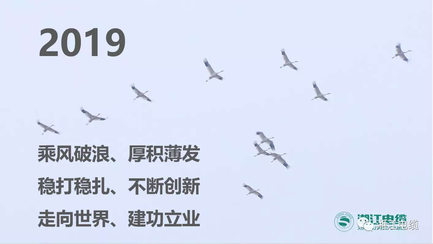 湘江電纜2019經銷商會議暨迎新年會盛大舉行