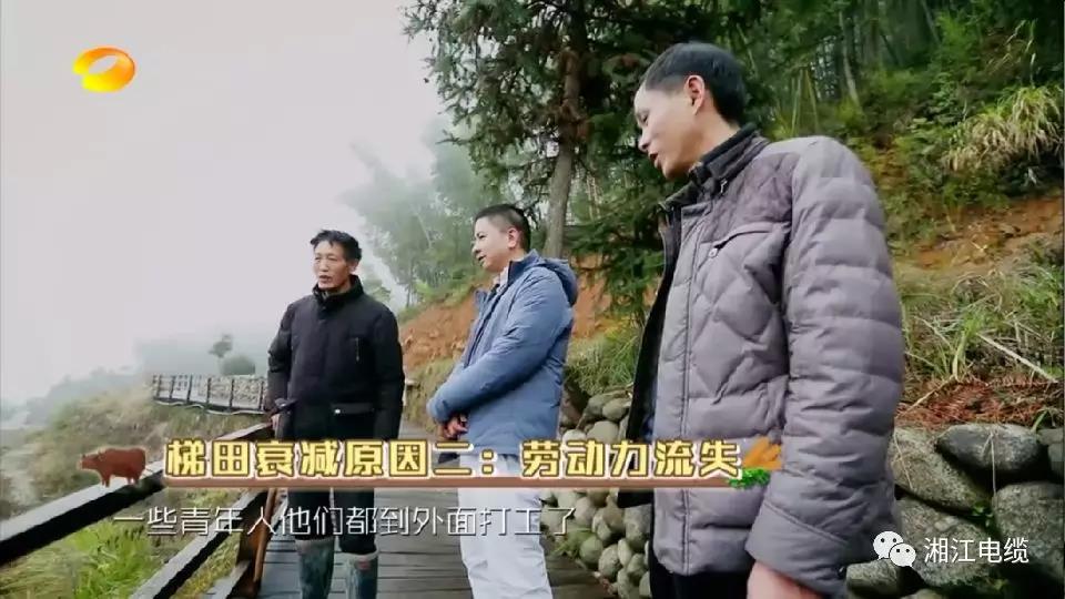湘江電纜湖南衛視《鄉村合伙人》一企幫扶一村