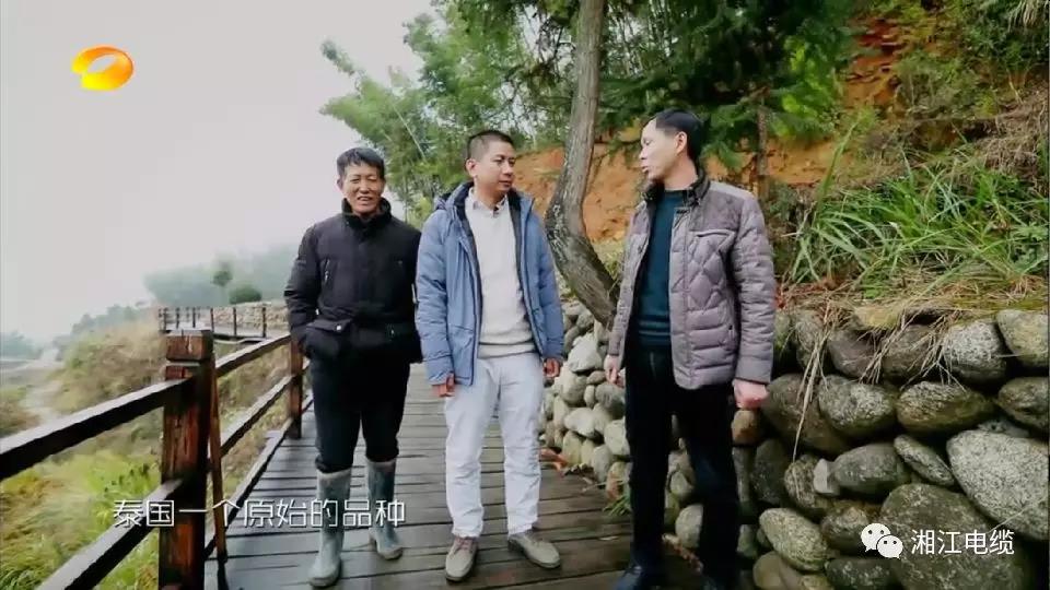 湘江電纜湖南衛視《鄉村合伙人》一企幫扶一村
