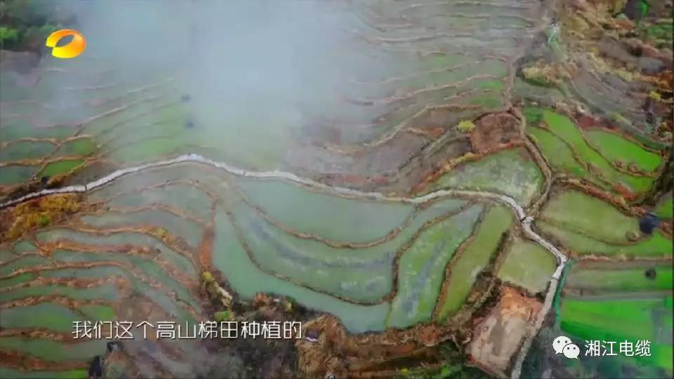 湘江電纜湖南衛視《鄉村合伙人》一企幫扶一村