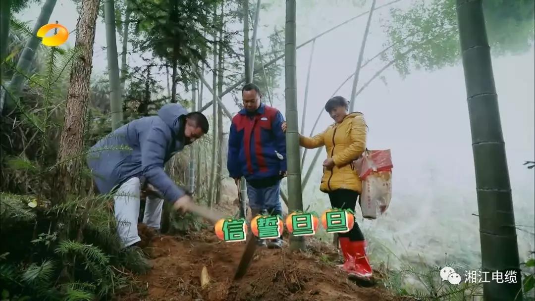 湘江電纜湖南衛視《鄉村合伙人》一企幫扶一村
