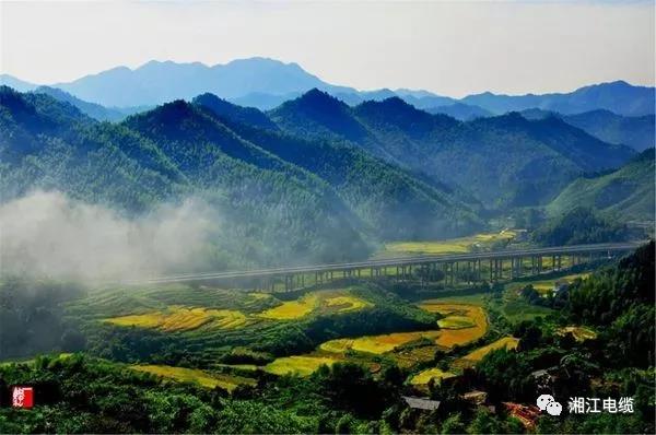 湘江電纜湖南衛視《鄉村合伙人》一企幫扶一村
