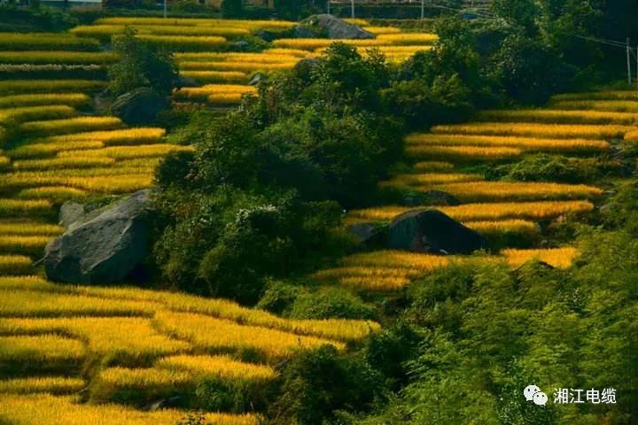 湘江電纜湖南衛視《鄉村合伙人》一企幫扶一村